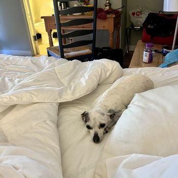 Rugged Country Lodge - Miss Dottie loved the bed - Hotels Near Me - Pendleton, Oregon Rugged Country Lodge - Miss Dottie loved the bed - Hotels Near Me - Pendleton, Oregon