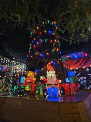 The Double Standard by null The Double Standard by null