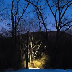 Slab Cabin Park