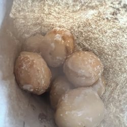 Port Allen Bakery - Don't holes huge