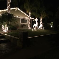 Holiday Light Works