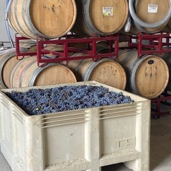 Biane Winery