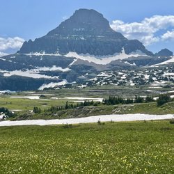 Montana State of