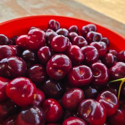 The Cherry Pit