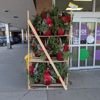 Food Basics - Festive arrangements - Grocery Near Me - Thornhill, Ontario Food Basics - Festive arrangements - Grocery Near Me - Thornhill, Ontario