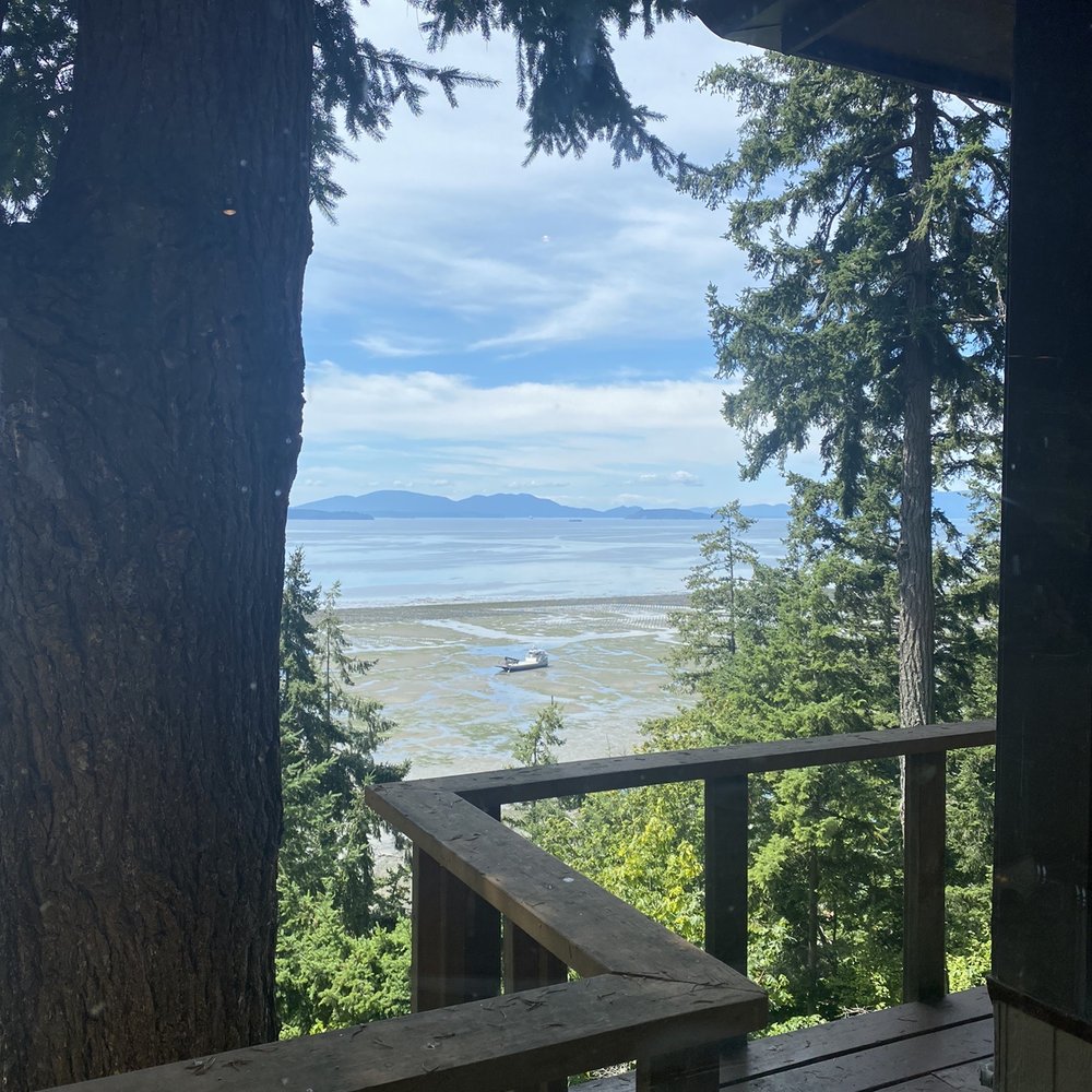 The Oyster Bar - Beautiful views from the table! - Seafood Near Me - Bow, Washington The Oyster Bar - Beautiful views from the table! - Seafood Near Me - Bow, Washington