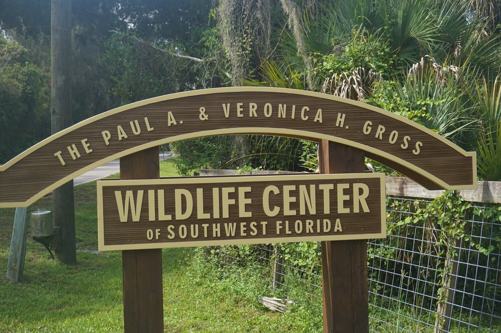 WILDLIFE CENTER OF SOUTHWEST FLORIDA 925 N Jackson Rd, Venice, FL Yelp