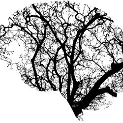 Reset your whole mind and body with an Integrative Cranial Sacral Unwinding session with Laura Caputo, Ms.T.