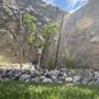 Photo of DsrTex Landscape Solutions