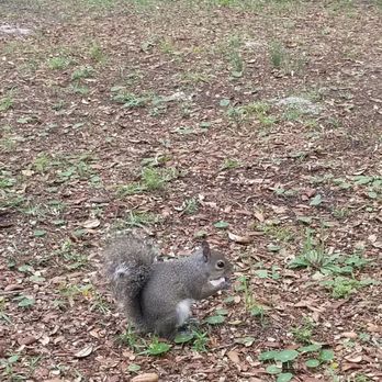 Camp Helen State Park - Parks Near Me - Panama City Beach, Florida