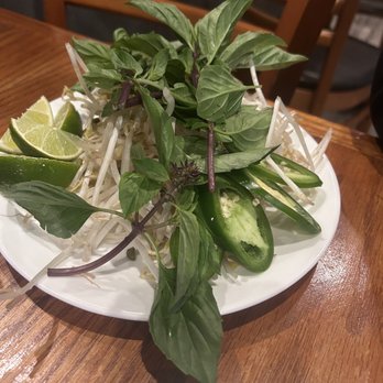 Pho Today - Pho Garnishments - Vietnamese Near Me - Jacksonville, Florida Pho Today - Pho Garnishments - Vietnamese Near Me - Jacksonville, Florida