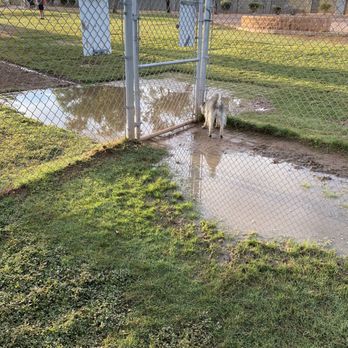 Shawnee Park - Dog Parks Near Me - Chandler, Arizona