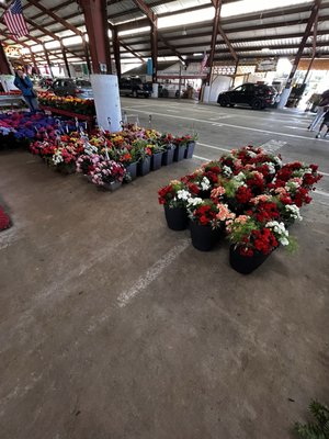 Pee Dee State Farmers Market by null