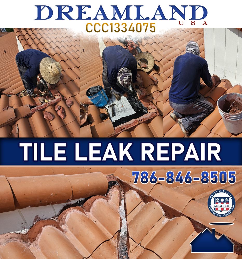 Slide of Dreamland USA