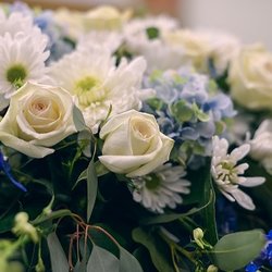 Bloom by Weddings & Things
