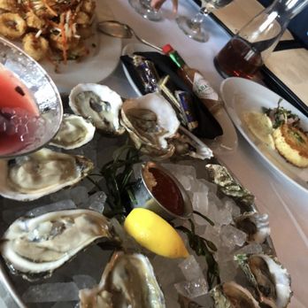 Ocean Prime - Dz Oysters on the Half Shell - calamari - crab cake - Seafood Near Me - Tampa, Florida Ocean Prime - Dz Oysters on the Half Shell - calamari - crab cake - Seafood Near Me - Tampa, Florida