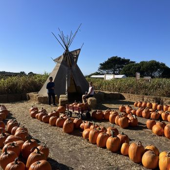 Farmer John's Pumpkin Farm - Pumpkin Patches Near Me - Half Moon Bay, California Farmer John's Pumpkin Farm - Pumpkin Patches Near Me - Half Moon Bay, California