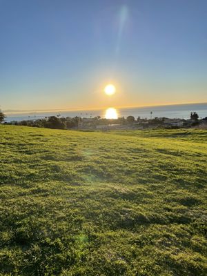 The Chori-Man by null