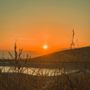 San Luis Reservoir State Recreation Area