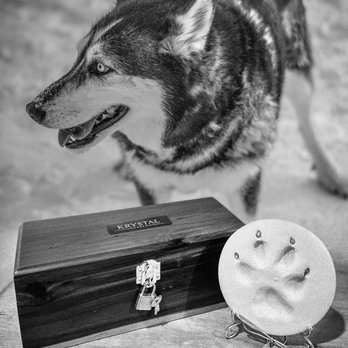 Only Cremations For Pets - Pet Transportation Near Me - Newport Beach, California Only Cremations For Pets - Pet Transportation Near Me - Newport Beach, California