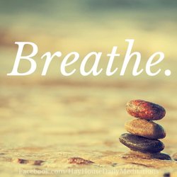 Massage by Karen Anselmo, LMT - My office is completely COVID compliant. I have taken drastic measures to insure as much safety for the client and myself.