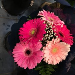 Fleuriste Centre Ville - Gerber Daisies Arrangement