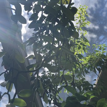 Denver Botanic Gardens - Botanical Gardens Near Me - Denver, Colorado Denver Botanic Gardens - Botanical Gardens Near Me - Denver, Colorado