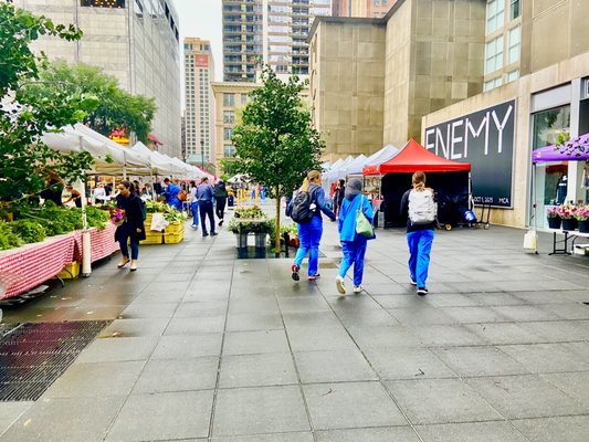 SOAR Farmers Market by null