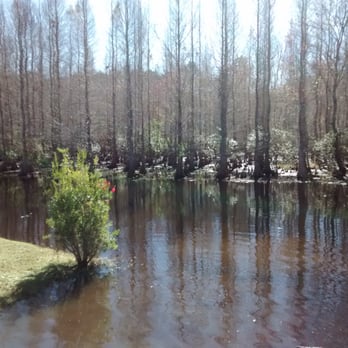 Glencliff Park - Parks Near Me - Westchase, Florida Glencliff Park - Parks Near Me - Westchase, Florida
