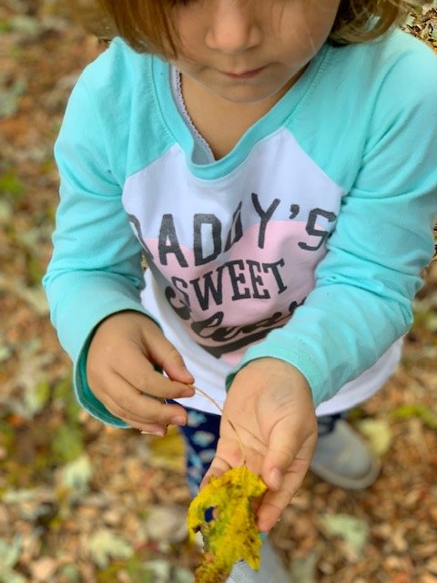 Foundations for Little Learners - childcare center in South Windsor, CT