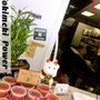 Chinese Kitchen