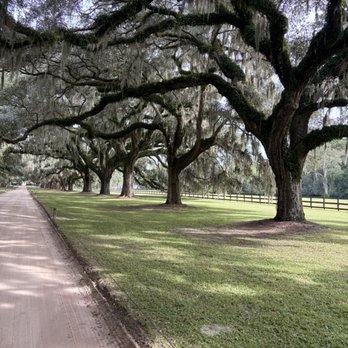 Boone Hall Plantation - Venues & Event Spaces Near Me - Mount Pleasant, South Carolina