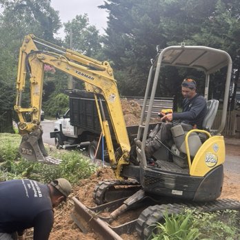 American Landscaping - Crew removing bamboo rhizomes with excavator - Landscaping Near Me - Silver Spring, Maryland