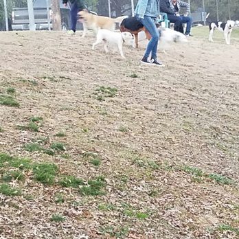 Basin AH1 Dog Park - Dog Parks Near Me - Fresno, California