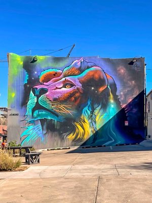 Denver Graffiti Tour by null