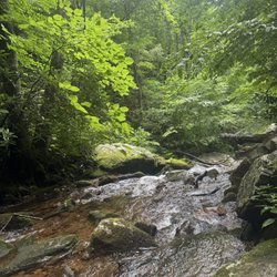 Margarette Falls Trail - Creek along trail