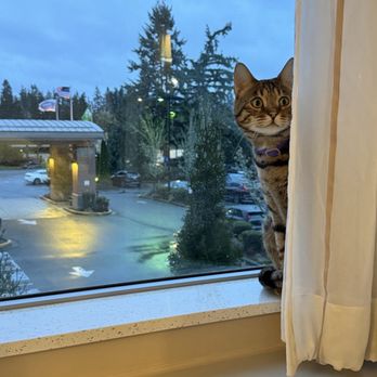 Hampton Inn & Suites Seattle/Redmond - Enjoying the view - Hotels Near Me - Redmond, Washington Hampton Inn & Suites Seattle/Redmond - Enjoying the view - Hotels Near Me - Redmond, Washington
