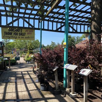 Oakland Nursery - Columbus - Nurseries & Gardening Near Me - Columbus, Ohio Oakland Nursery - Columbus - Nurseries & Gardening Near Me - Columbus, Ohio