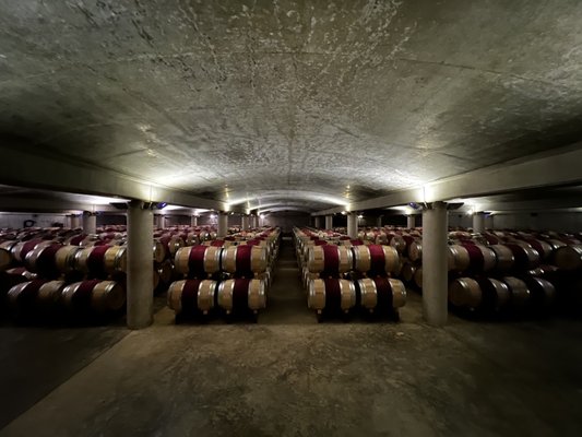 Château Carbonnieux - Grand cru classé de Graves - Pessac Léognan by null