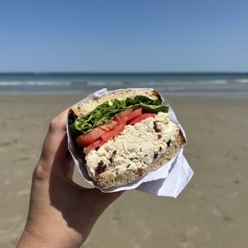 Maes Sandwich Shop - a person holding a sandwich on the beach - Sandwiches Near Me - Marshfield, Massachusetts Maes Sandwich Shop - a person holding a sandwich on the beach - Sandwiches Near Me - Marshfield, Massachusetts