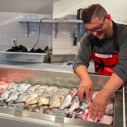 Bossa Fish