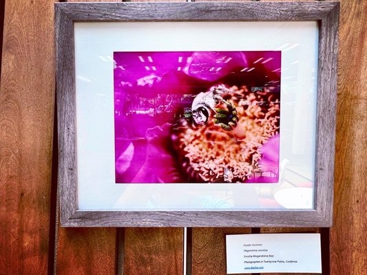 Altadena Library by null