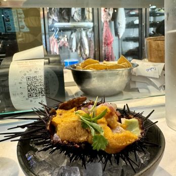 Holbox - Latin American Near Me - Los Angeles, California
