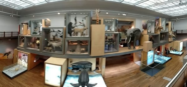 Great North Museum: Hancock by null