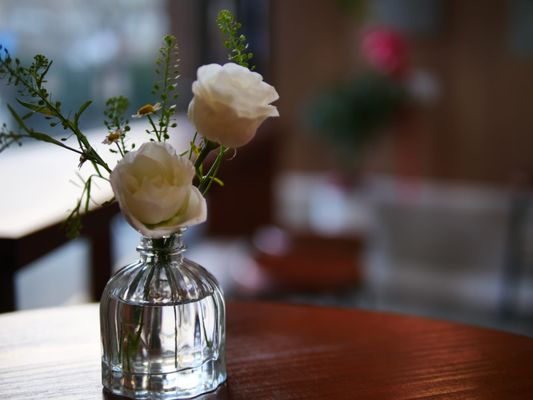 Cafe Diem NYC by null