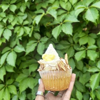 Branch Cafe & Market - Honeybee Cupcake - Bakeries Near Me - Carbondale, Illinois Branch Cafe & Market - Honeybee Cupcake - Bakeries Near Me - Carbondale, Illinois