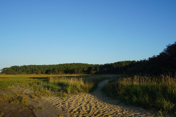 Great Island Trail by null