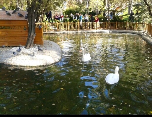 Kuğulu Park by null