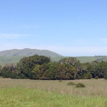 Bear Valley Visitor Center - Views of Point Reyes as you return along the Bear Valley trail - Visitor Centers Near Me - Point Reyes Station, California