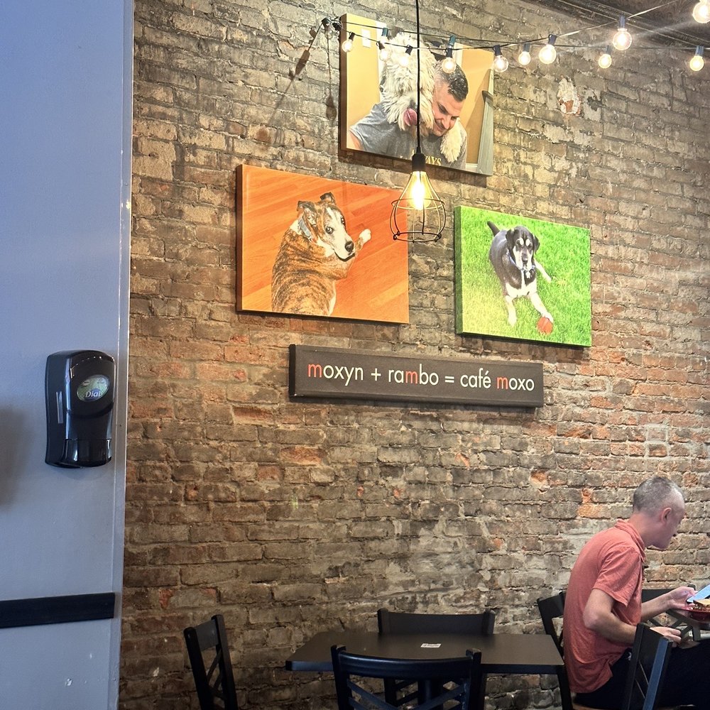 Cafe Moxo - Decor - Cafes Near Me - Springfield, Illinois Cafe Moxo - Decor - Cafes Near Me - Springfield, Illinois